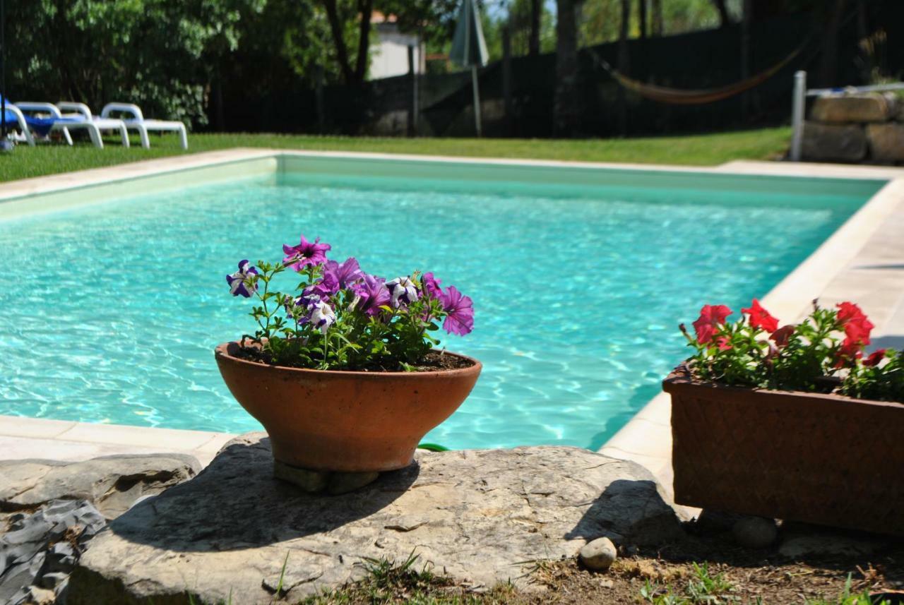 A Casa Di Giulia Apartment เซียนา ภายนอก รูปภาพ